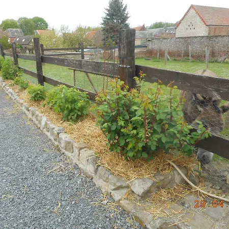 Le Petit Paddock *