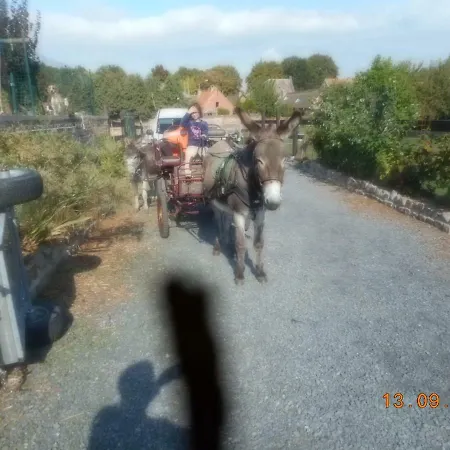 Le Petit Paddock Sains-les-Marquion