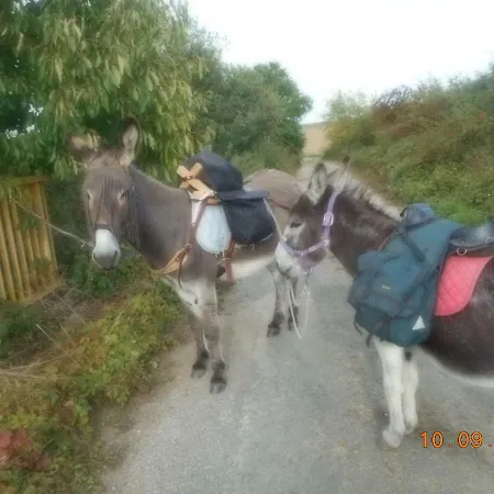 Le Petit Paddock Privat bolig *